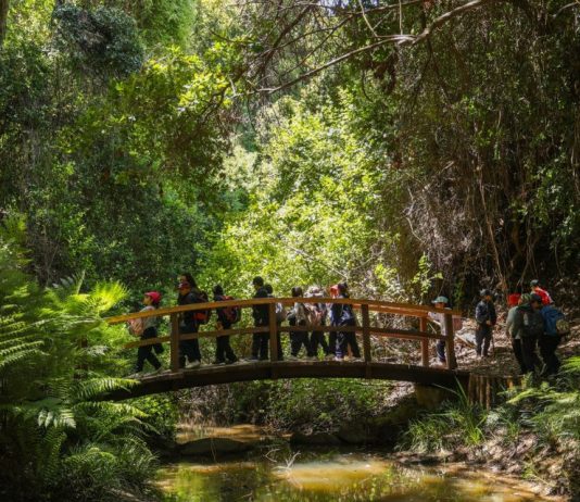 Referente mundial en aprendizaje al aire libre destacó el impacto educativo del Programa Aula Tricao Referente mundial en aprendizaje al aire libre destacó el impacto educativo del Programa Aula Tricao