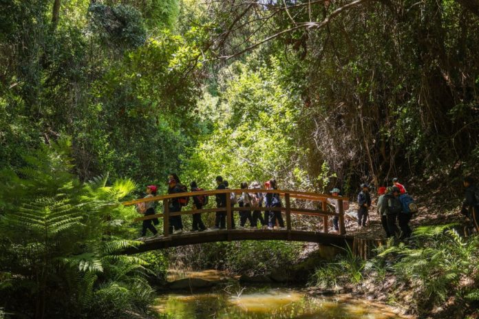 Referente mundial en aprendizaje al aire libre destacó el impacto educativo del Programa Aula Tricao