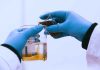 Reportaje | Investigación USM busca identificar dónde se concentran los microplásticos en estuarios de Chile central