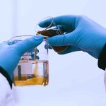 Reportaje | Investigación USM busca identificar dónde se concentran los microplásticos en estuarios de Chile central