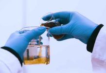 Reportaje | Investigación USM busca identificar dónde se concentran los microplásticos en estuarios de Chile central