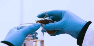 Reportaje | Investigación USM busca identificar dónde se concentran los microplásticos en estuarios de Chile central