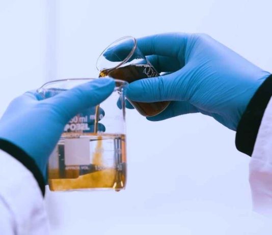 Reportaje | Investigación USM busca identificar dónde se concentran los microplásticos en estuarios de Chile central