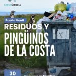 Residuos y conservación de pingüinos protagonizarán nuevo CerveCiencia en Puerto Montt