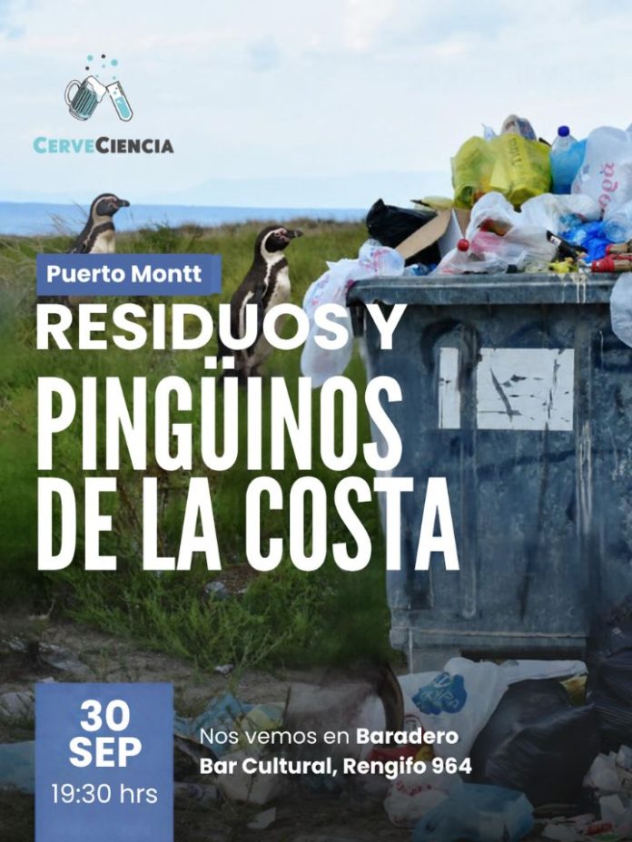 Residuos y conservación de pingüinos protagonizarán nuevo CerveCiencia en Puerto Montt Residuos y conservación de pingüinos protagonizarán nuevo CerveCiencia en Puerto Montt