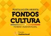 Seremi de las Culturas y Delegación de Punilla llaman a postular a fondos de Artes Escénicas y Audiovisual