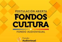 Seremi de las Culturas y Delegación de Punilla llaman a postular a fondos de Artes Escénicas y Audiovisual