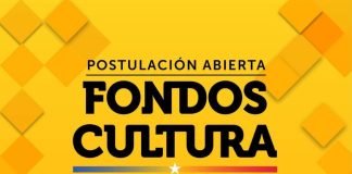 Seremi de las Culturas y Delegación de Punilla llaman a postular a fondos de Artes Escénicas y Audiovisual