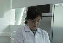 Jornadas de Energía UCSC abren convocatoria para presentar investigaciones