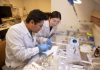 ¿QUÉ PROFESOR DE CIENCIAS TE INSPIRÓ? LA UC ABRE LAS POSTULACIONES A LOS PREMIOS EDUCIENCIAS 2026