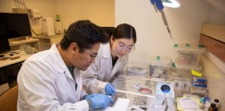 ¿QUÉ PROFESOR DE CIENCIAS TE INSPIRÓ? LA UC ABRE LAS POSTULACIONES A LOS PREMIOS EDUCIENCIAS 2026