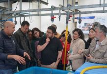 Docentes de Liceos Técnicos Profesionales de diversas ciudades del país participaron en curso sobre cultivo de la ostra japonesa Docentes de Liceos Técnicos Profesionales de diversas ciudades del país participaron en curso sobre cultivo de la ostra japonesa