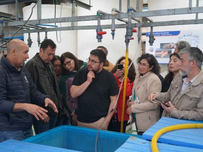 Docentes de Liceos Técnicos Profesionales de diversas ciudades del país participaron en curso sobre cultivo de la ostra japonesa Docentes de Liceos Técnicos Profesionales de diversas ciudades del país participaron en curso sobre cultivo de la ostra japonesa