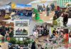Eco-escuela UOH lleva la educación ambiental a colegios de toda la Región de O’Higgins Eco-escuela UOH lleva la educación ambiental a colegios de toda la Región de O'Higgins