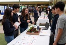 Emprendimiento escolar