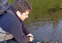 Estudiante de Biología Marina UCSC da origen a publicación científica sobre cangrejo del estuario de Lenga tras finalizar su seminario de investigación