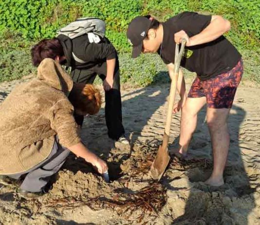 Estudiante de Biología Marina UCSC obtiene beca para presentar su investigación en congreso científico