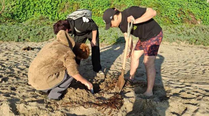 Estudiante de Biología Marina UCSC obtiene beca para presentar su investigación en congreso científico Estudiante de Biología Marina UCSC obtiene beca para presentar su investigación en congreso científico