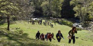 Estudiantes TP protagonizaron primera Cumbre Regional de Turismo y Hotelería de Montaña en Lonquimay