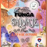 Fresia celebrará la segunda versión del Festival Funga Salvaje este fin de semana con educación ambiental, arte y gastronomía Fresia celebrará la segunda versión del Festival Funga Salvaje este fin de semana con educación ambiental, arte y gastronomía