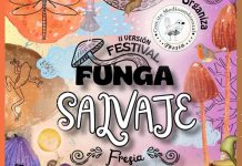 Fresia celebrará la segunda versión del Festival Funga Salvaje este fin de semana con educación ambiental, arte y gastronomía Fresia celebrará la segunda versión del Festival Funga Salvaje este fin de semana con educación ambiental, arte y gastronomía