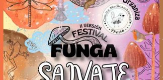 Fresia celebrará la segunda versión del Festival Funga Salvaje este fin de semana con educación ambiental, arte y gastronomía Fresia celebrará la segunda versión del Festival Funga Salvaje este fin de semana con educación ambiental, arte y gastronomía