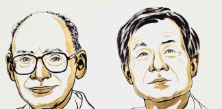 Nobel de Química 2026: el misterio de las moléculas espejo que cambia la fabricación de medicamentos