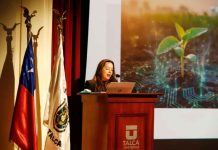 Reportaje | Proyecto UNE UTalca define seis macroproyectos de investigación con foco territorial