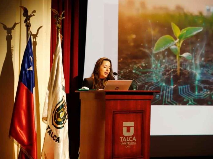 Reportaje Proyecto UNE UTalca define seis macroproyectos de investigación con foco territorial Reportaje | Proyecto UNE UTalca define seis macroproyectos de investigación con foco territorial