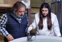 Startup nacida en la UCSC destaca entre 271 postulaciones y llevará tecnología acuícola a escala industrial Startup nacida en la UCSC destaca entre 271 postulaciones y llevará tecnología acuícola a escala industrial