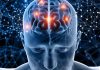 USS invita a CerebrUSS 2026, el primer Festival de Neurociencias del sur de Chile