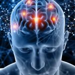 USS invita a CerebrUSS 2026, el primer Festival de Neurociencias del sur de Chile
