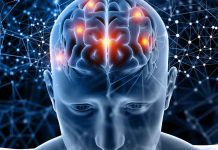 USS invita a CerebrUSS 2026, el primer Festival de Neurociencias del sur de Chile