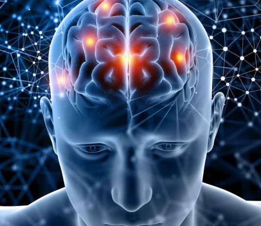 USS invita a CerebrUSS 2026, el primer Festival de Neurociencias del sur de Chile