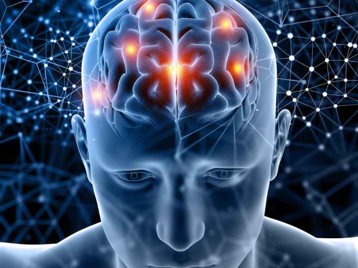 USS invita a CerebrUSS 2026, el primer Festival de Neurociencias del sur de Chile USS invita a CerebrUSS 2026, el primer Festival de Neurociencias del sur de Chile