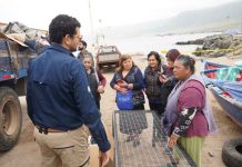 Universidad Católica del Norte acompaña a pescadores y buzos de Antofagasta en su transición hacia la acuicultura