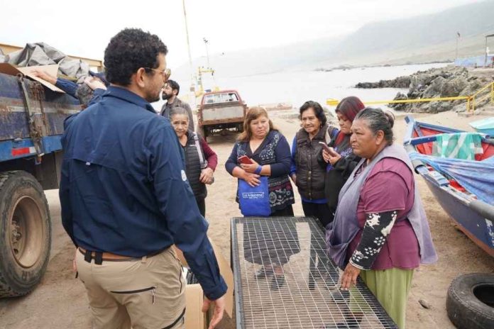 Universidad Católica del Norte acompaña a pescadores y buzos de Antofagasta en su transición hacia la acuicultura Universidad Católica del Norte acompaña a pescadores y buzos de Antofagasta en su transición hacia la acuicultura